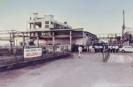 Laying The Roots (1984-2012)